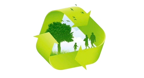 Экологические изыскания